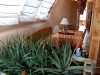 couchsurfin-earthship-19