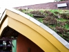 green-roofs-3