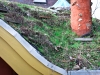 green-roofs-4